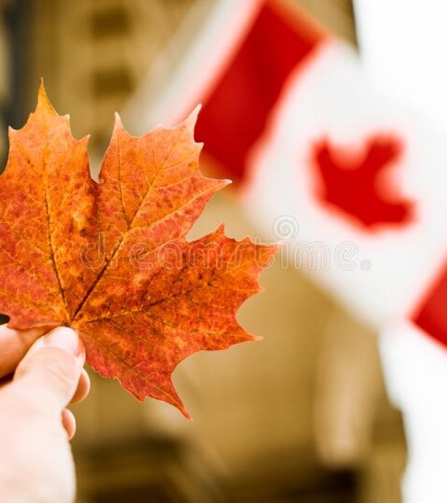 canadian-immigration-consultant-calgary-mapple flag